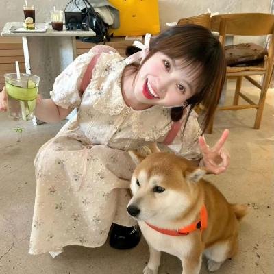 我的野兽